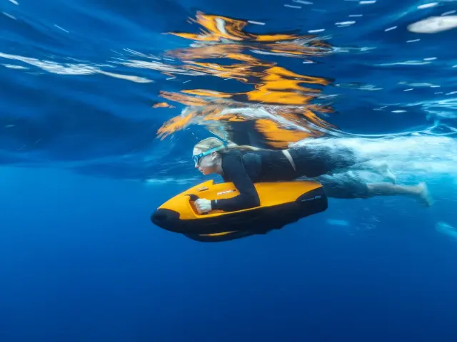 charter-maverick_0002